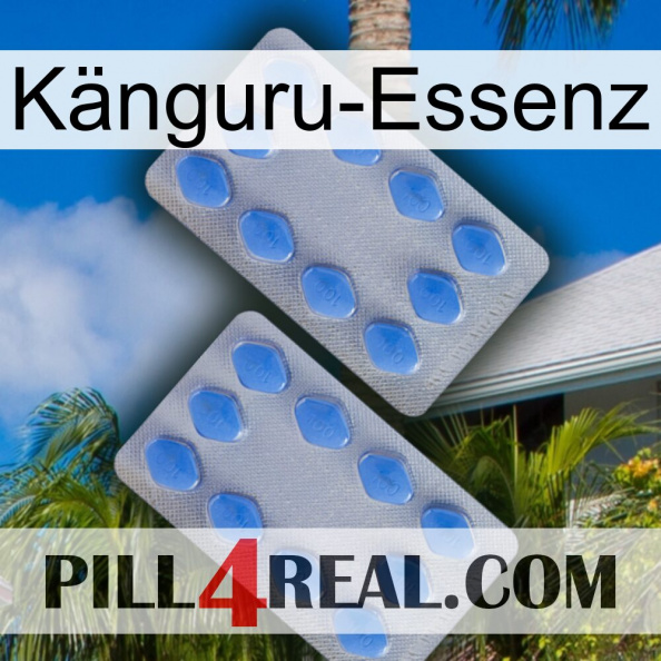 Känguru-Essenz 20.jpg